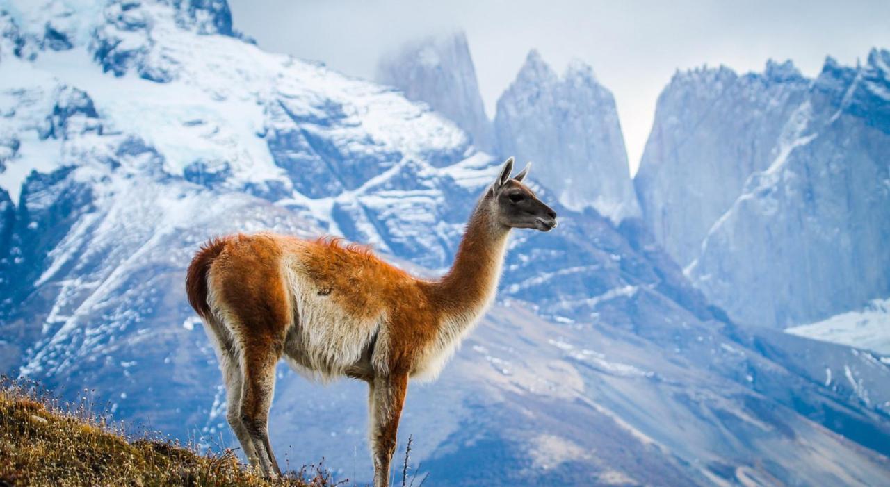 فندق ريو سيرانو سبا Torres del Paine National Park المظهر الخارجي الصورة