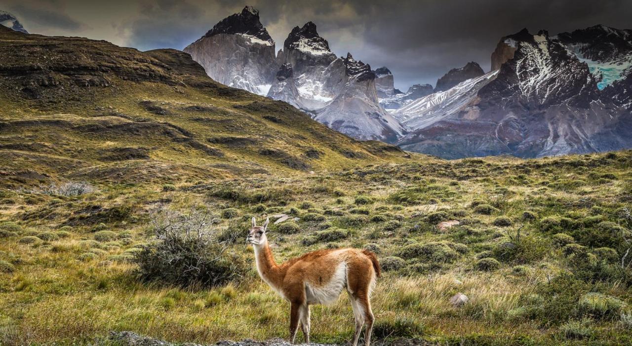 فندق ريو سيرانو سبا Torres del Paine National Park المظهر الخارجي الصورة
